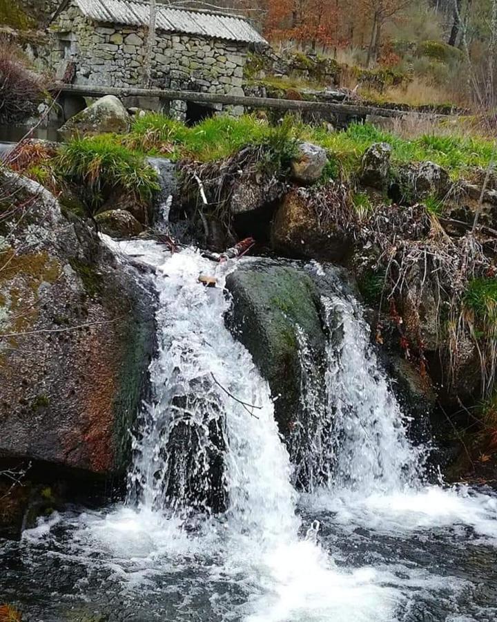 Вилла Casa Do Eiro Pinheiro  Экстерьер фото